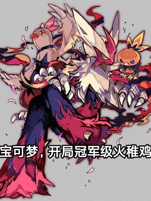 神奇宝贝之收服火稚鸡